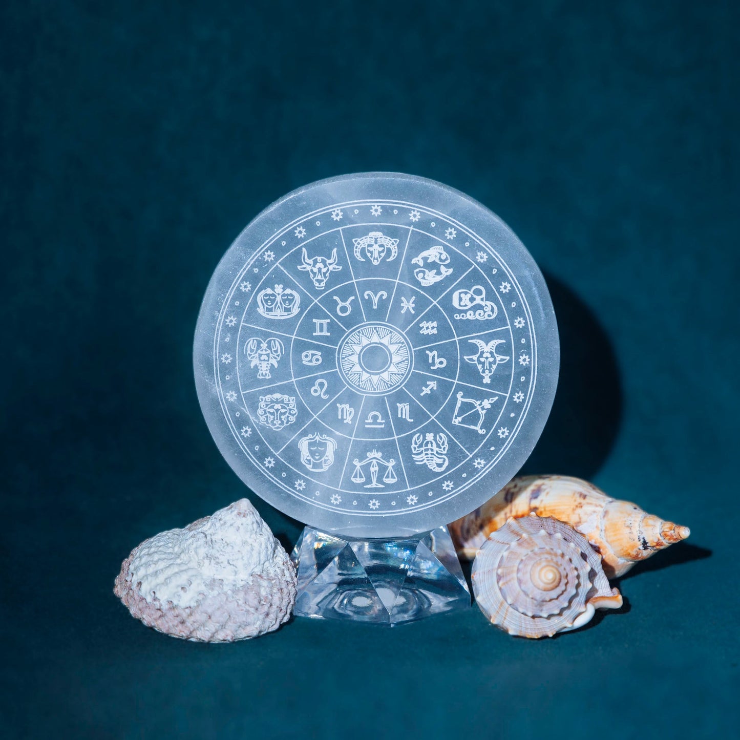 Selenite Astrology Disk - Green House Store