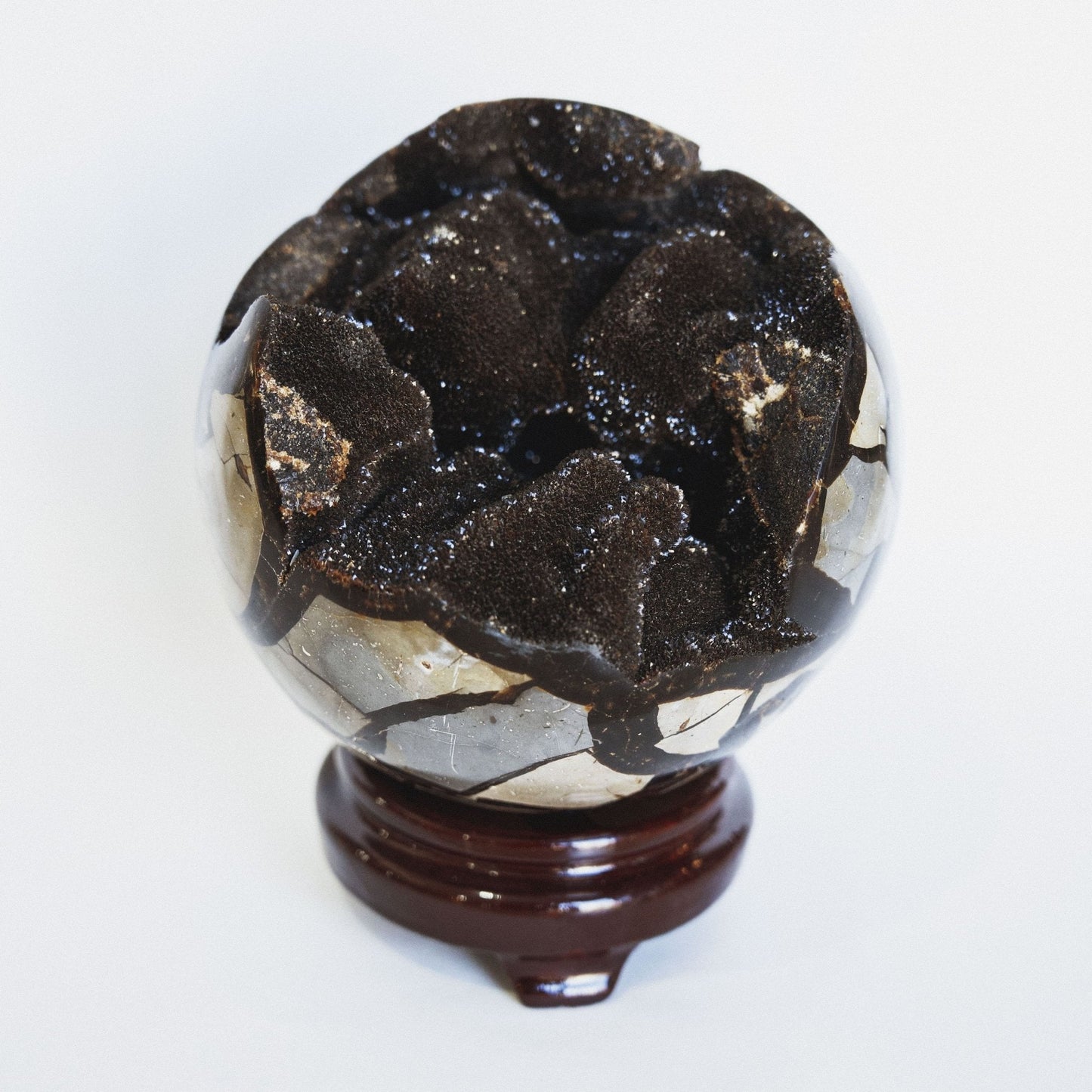 Septarian Sphere - Green House Store