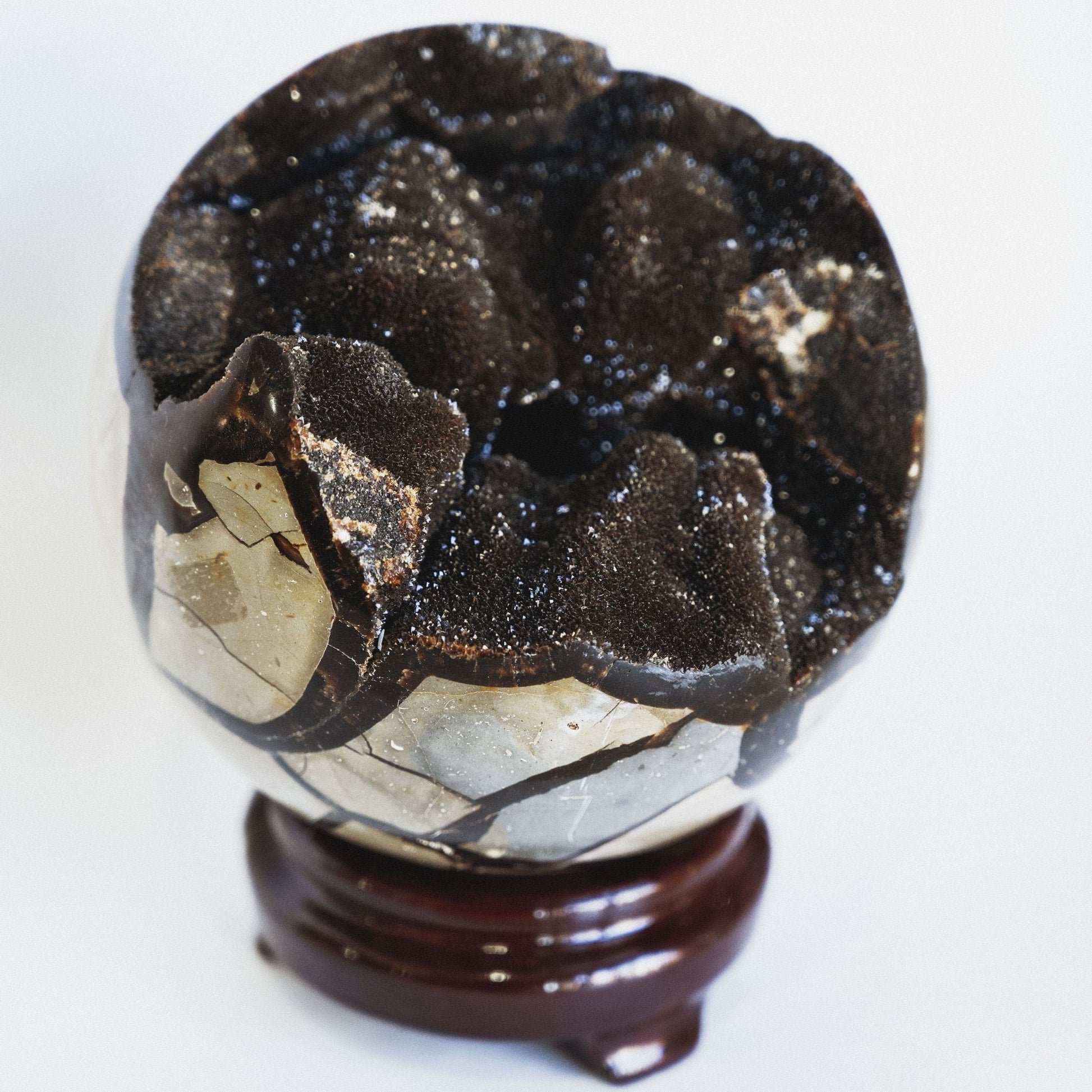 Septarian Sphere - Green House Store