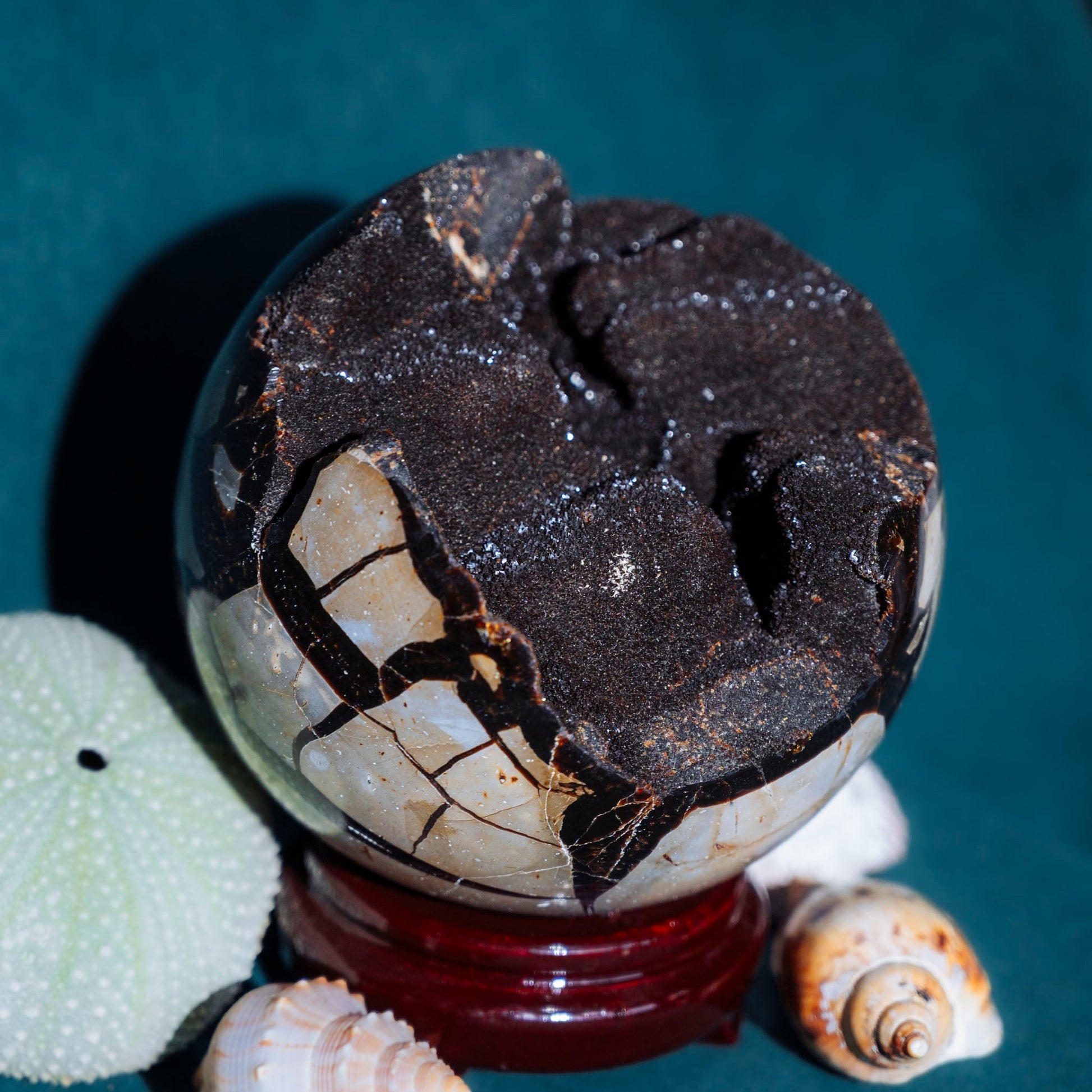 Septarian Sphere - Green House Store