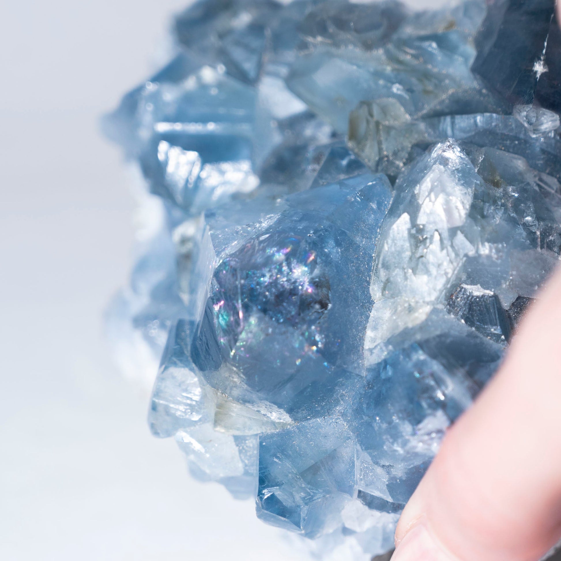 Celestite Druzy Cluster - Green House Store