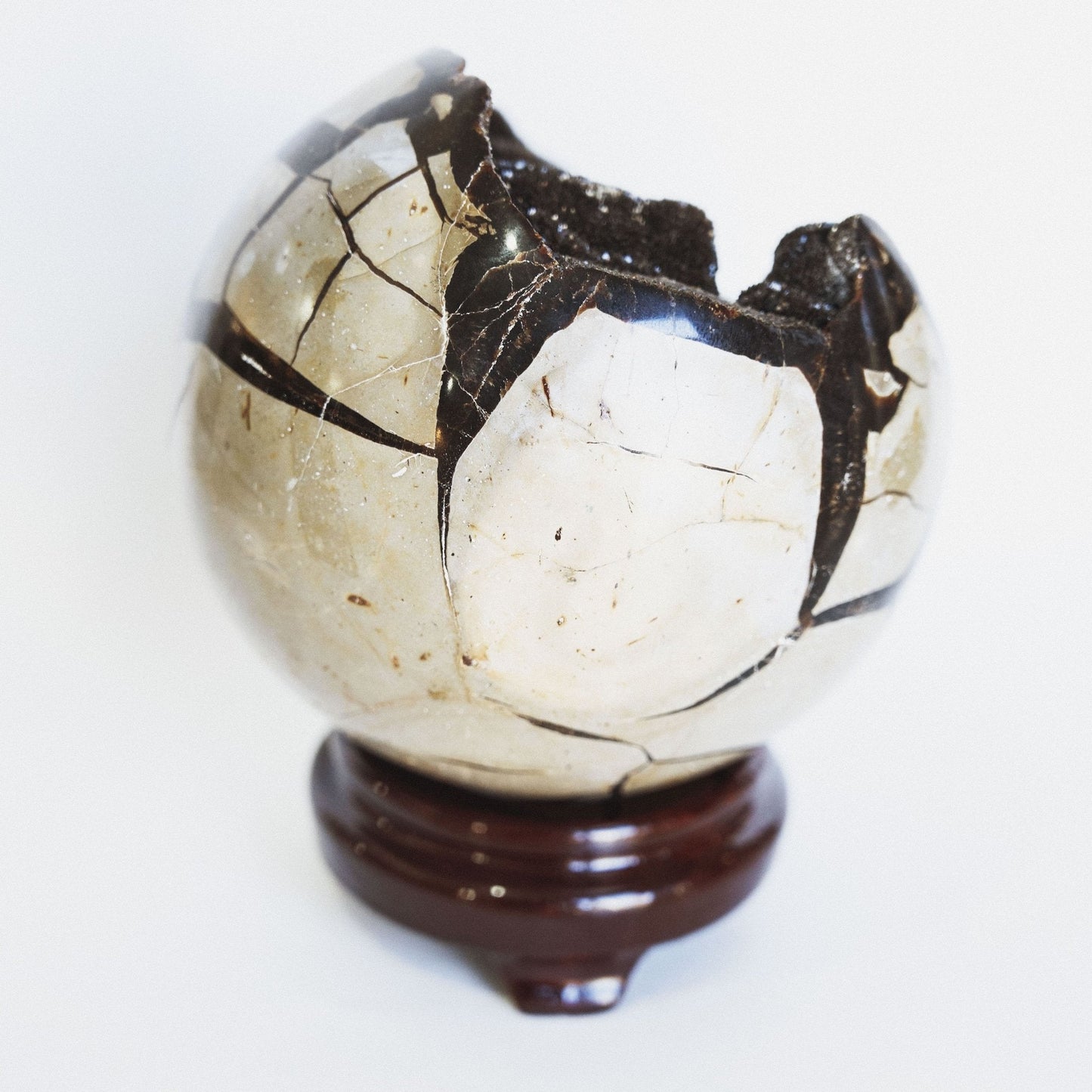 Septarian Sphere - Green House Store