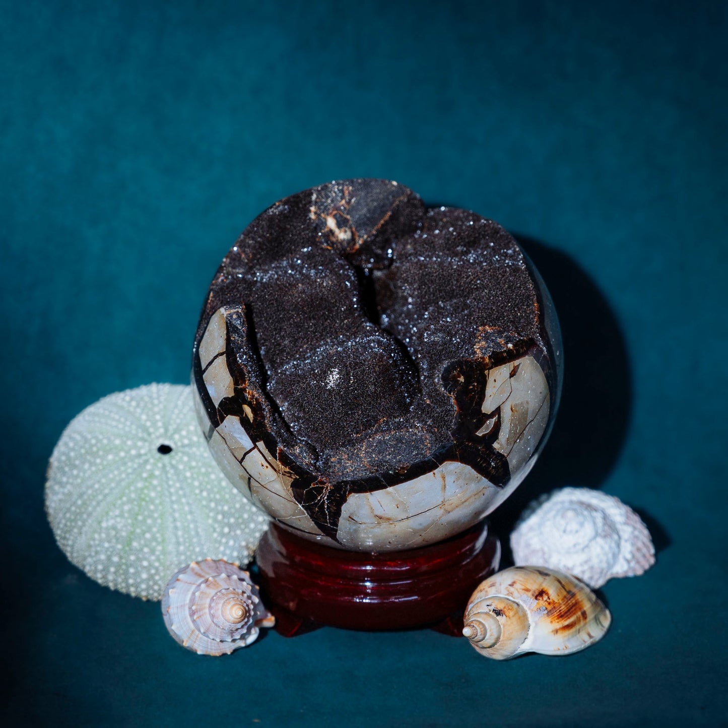 Septarian Sphere - Green House Store