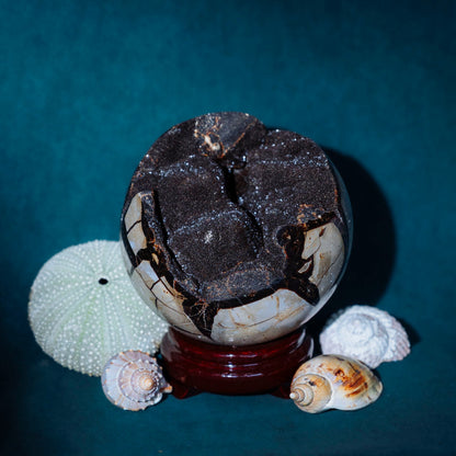 Septarian Sphere - Green House Store