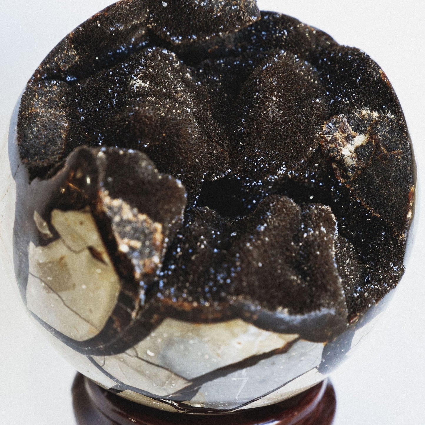 Septarian Sphere - Green House Store