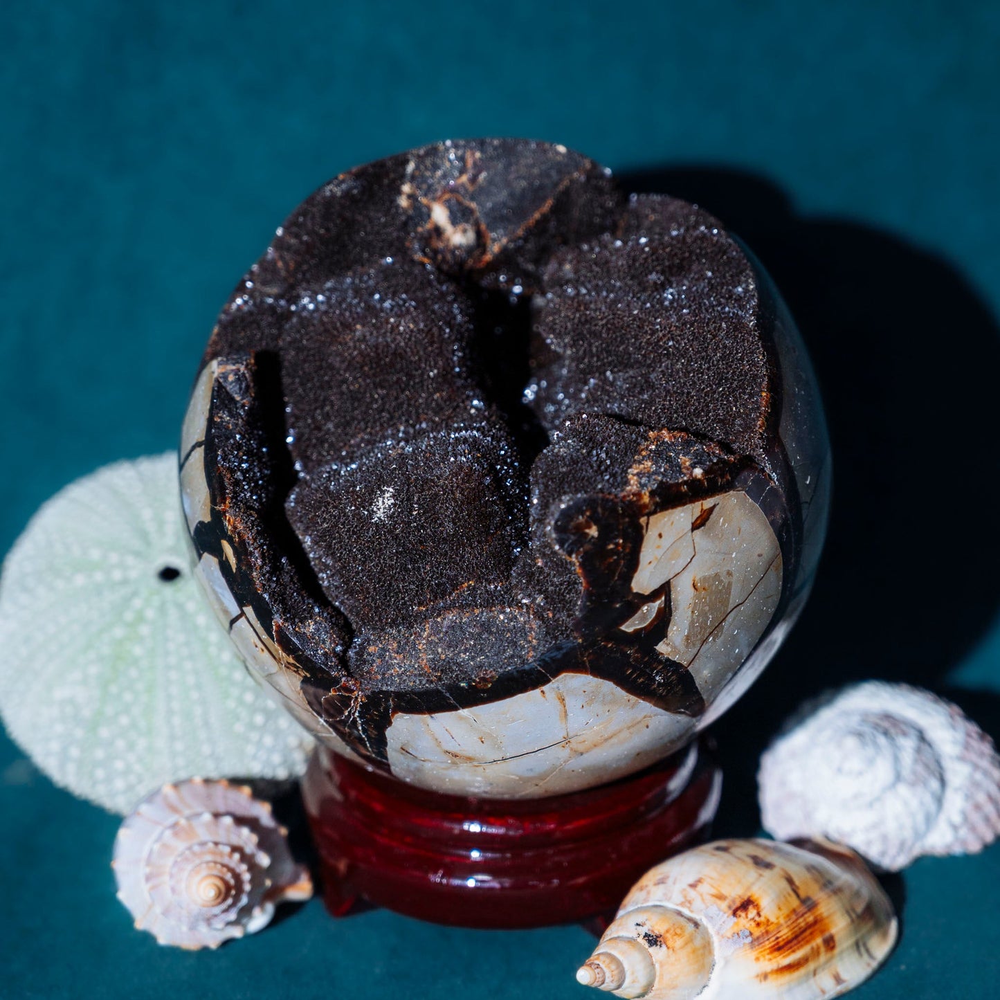 Septarian Sphere - Green House Store